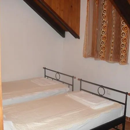 Kaktus Ložišće
