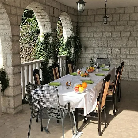 Kaktus Apartamento